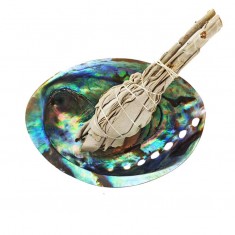 Abalone Shell With White Sage Smudge Stick