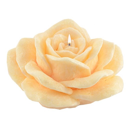 Adpal Stearin Candles Rose Ivory