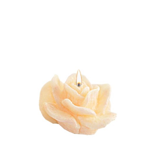 Adpal Stearin Candles Small Rose Ivory