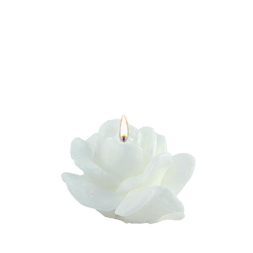 Adpal Stearin Candles Small Rose White
