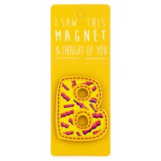 B Magnet