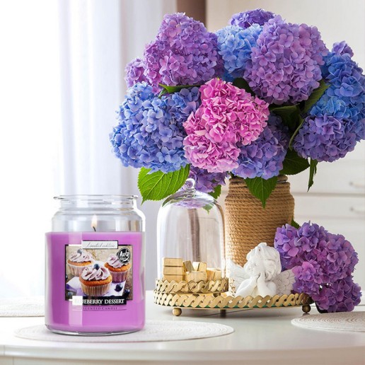 Scented Candles in Jars Best Candle Store In Ireland