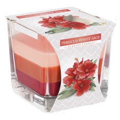 Bispol triple layer value scented candles - hibiscus - white sage
