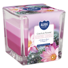 Cactus Flower Scented Candle Cheap & Cheerful