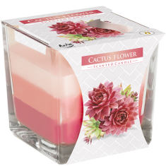 Cactus Flower - Triple Layered Scented Candle