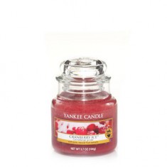 Cranberry Ice - Yankee Candle Small Jar