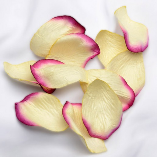 Embossed Paper Petals Confetti - Ivory-Fuchsia