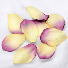 Embossed Paper Petals Confetti - Ivory-Plum