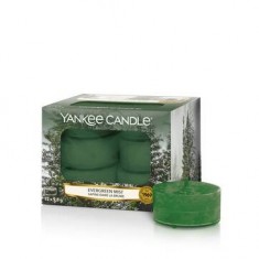 Evergreen Mist - Yankee Candle Tea Lights