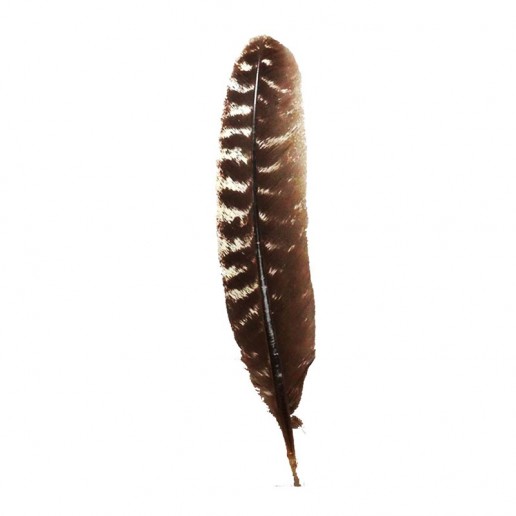 Feather For Smudging Ritual