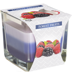 Forest Fruits - Triple Layered Scented Candle