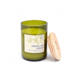 Fresh Air & Birch - Eco Green Paddywax Candle