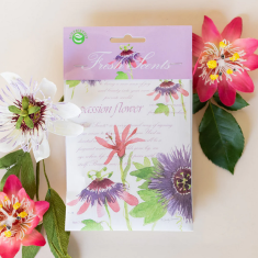 Fresh Scents Scented Sachets - Passion Flower