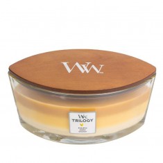 Fruits Of Summer - WoodWick Trilogy Ellipse with lid