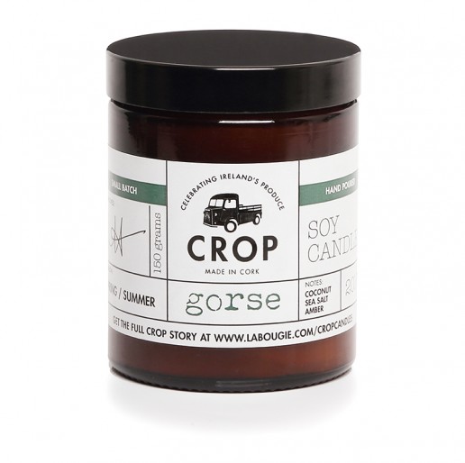 Gorse - Crop Soy Wax Candle in Brown Jar