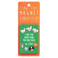 I Like You Magnet