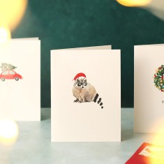 Louise Mulgrew Christmas Card Christmas Raccoon