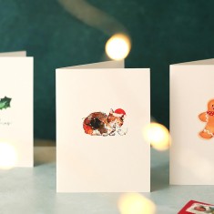 Louise Mulgrew Christmas Cards Christmas Cat