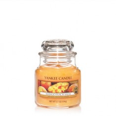 Mango Peach Salsa - Yankee Candle Small Jar