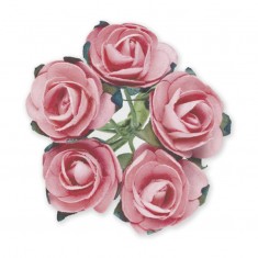 Miniature Tea Roses - Baby Pink 15mm