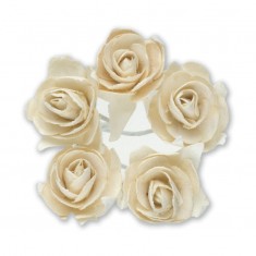Miniature Tea Roses - Ivory 15mm