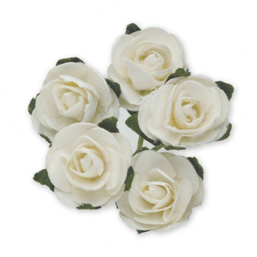 Miniature Tea Roses - White 15mm