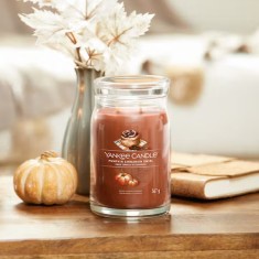 Pumpkin Cinnamon Swirl - Yankee Candle Large Jar