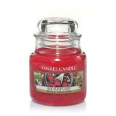 Red Raspberry - Yankee Candle Small Jar