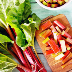 Rhubarb Soy Wax Melt new