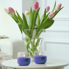 Scented Candles in Plain Glass - Forest Fruits