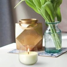 Scented Candles in Plain Glass - Vanilla