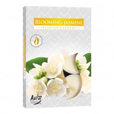 Scented Tea Lights 6pk - Blooming Jasmine