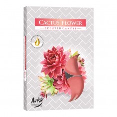 Scented Tea Lights 6pk - Cactus Flower