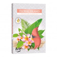 Scented Tea Lights 6pk - Floral Island