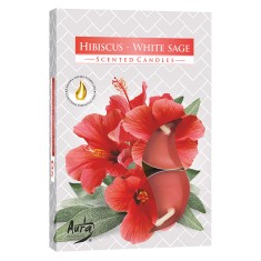 Scented Tea Lights 6pk - Hibiscus - White Sage