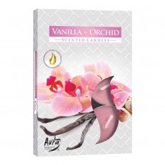 Scented Tea Lights 6pk - Vanilla - Orchid
