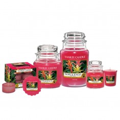 Tropical Jungle Yankee Candle Family