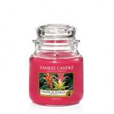 Tropical Jungle - Yankee Candle Medium Jar