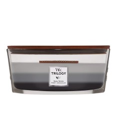 Warm Woods - WoodWick Trilogy Ellipse