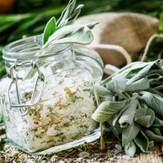White Sage Soya Wax Melt