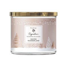 Winter Wonderland - Aromatize Signature Collection